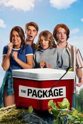 Paket izle